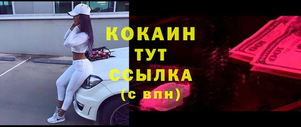 гидра Алзамай