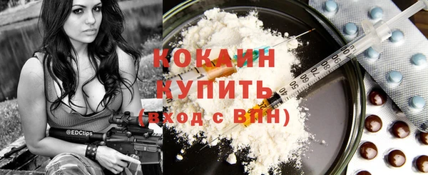 соль ск Абаза