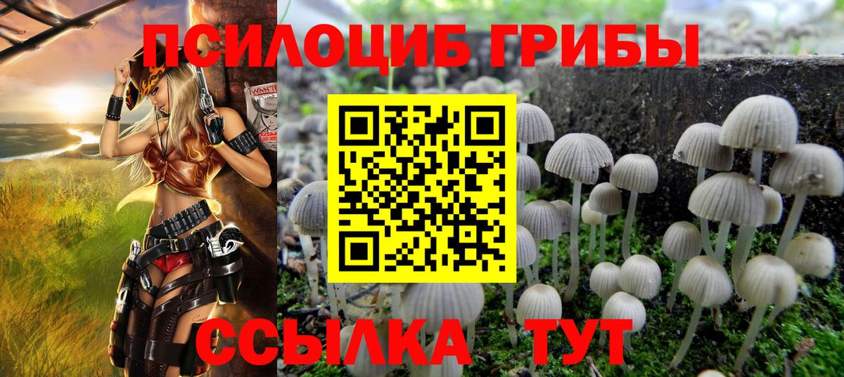 Удомля  даркнет сайт  Вход с VPN  Псилоцибиновые грибы Psilocybine cubensis 