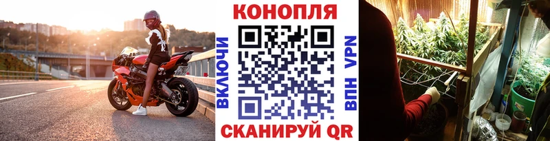 Бошки Шишки VHQ  купить наркотик  Удомля 